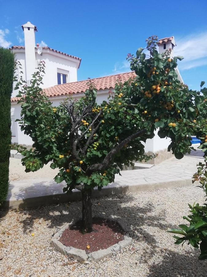Voor 8 Personen Met Zwembad * Calafat
